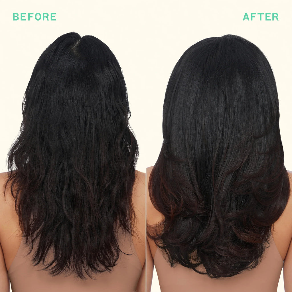 mane menders strength repair wash + care set